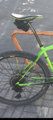 Cannondale carbon team 2017  foto-21677