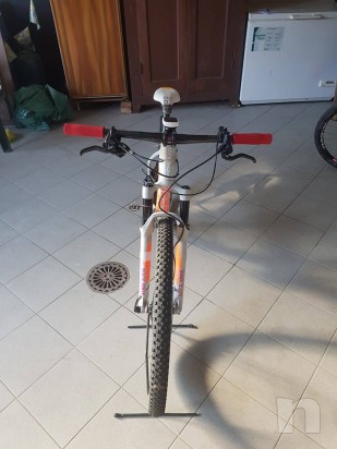 MTB FOCUS RAVEN FACTORY foto-21708