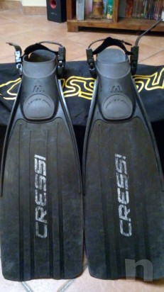 Pinne sub foto-11925