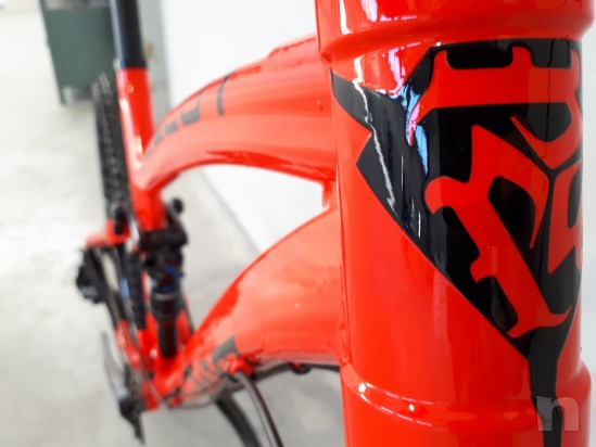 Mountain Bike Trail Pedroni Cycles Ocelot foto-22510