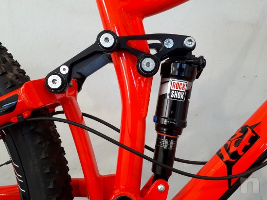 Mountain Bike Trail Pedroni Cycles Ocelot foto-22508