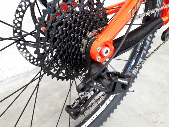 Mountain Bike Trail Pedroni Cycles Ocelot foto-22511