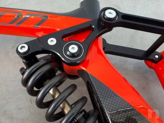 Mountain Bike Downhill Pedroni Cycles Lion Carbon foto-22532