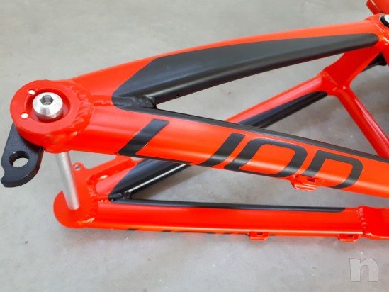 Telaio + Ammortizzatore RS Vivid Downhill Pedroni Cycles Lion foto-22543