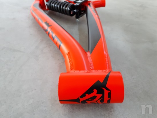 Telaio + Ammortizzatore RS Vivid Downhill Pedroni Cycles Lion foto-22544