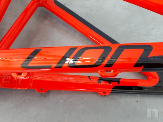 Telaio + Ammortizzatore RS Vivid Downhill Pedroni Cycles Lion Carbon foto-22549