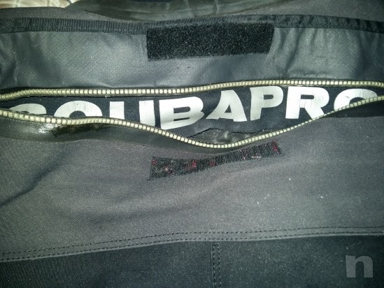 muta stagna foto-22568