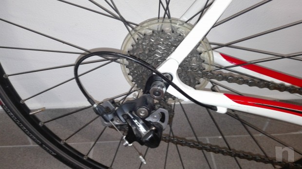 bici corsa specialized foto-22606