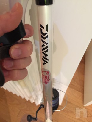 Canna dawa  foto-12213