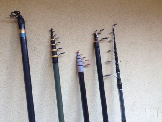 canne  bolognesi foto-22795