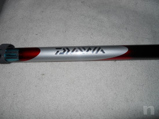 bolognese daiwa amorphus pro power foto-22799