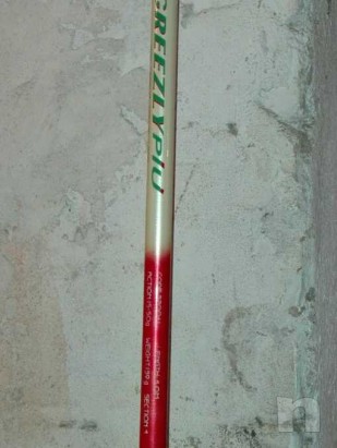 Canna lago foto-22920