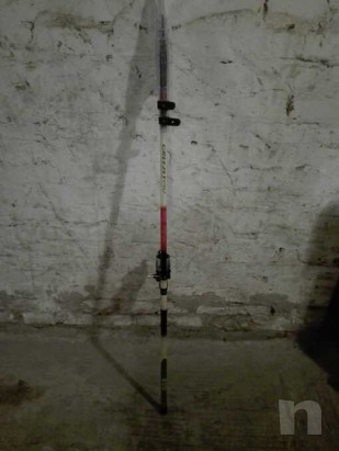 Canna lago foto-12329