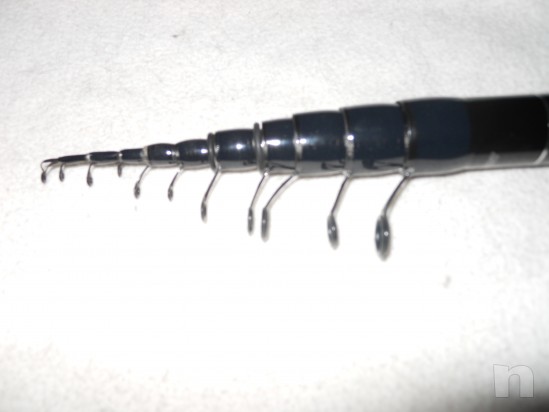 bolognese daiwa pro power mt 8 foto-22939