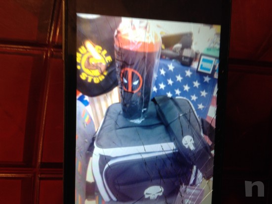 Muscle store foto-22970