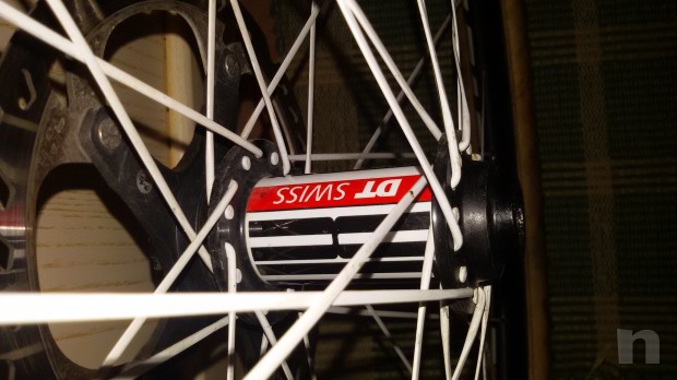 VENDO RUOTE TUBOLARI DT SWISS 29" foto-22976
