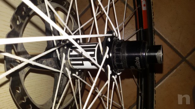 VENDO RUOTE TUBOLARI DT SWISS 29" foto-22975