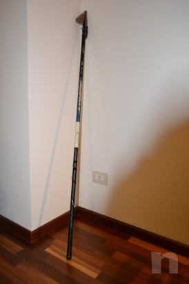 canna bolognese  foto-23294