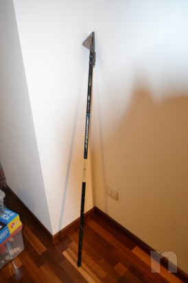 canna bolognese  foto-12507