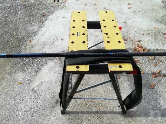 Canna Fissa foto-23316