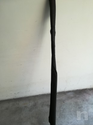 Canna Fissa foto-12515