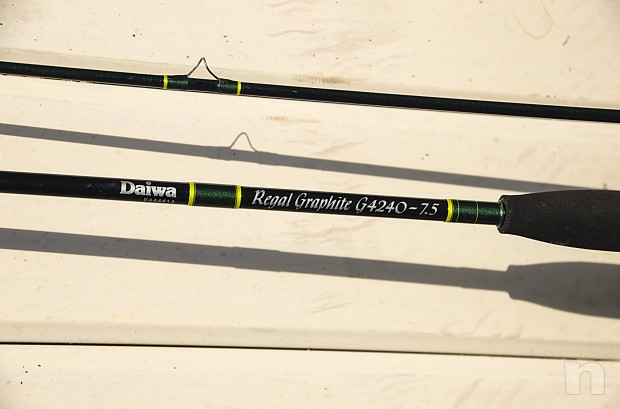 Canna da pesca a mosca Daiwa foto-12516