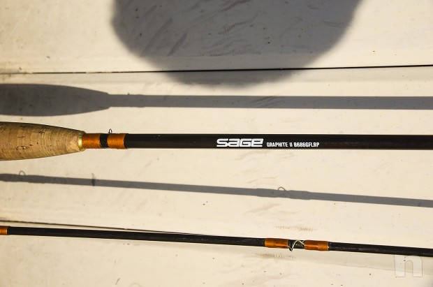 Canna da pesca a mosca SAGE Diamondbck foto-23320