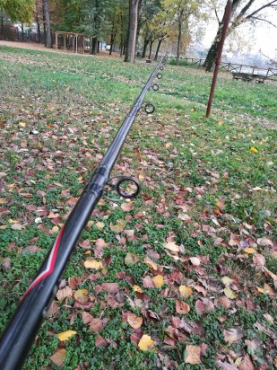 Canna da Siluro foto-12519