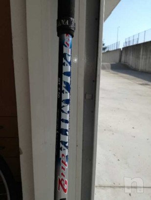 Bolognese 7 metri triana foto-23346