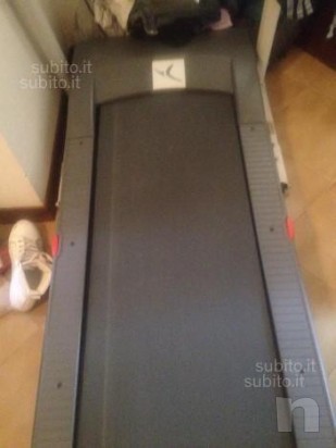 Tapirulan  foto-1889