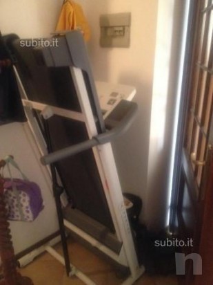 Tapirulan  foto-1888