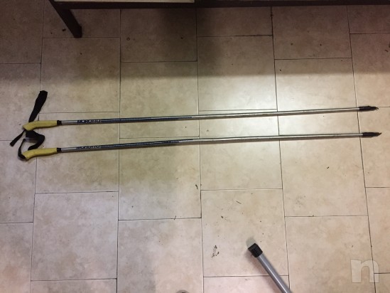 Bastoncini sci da fondo foto-23477