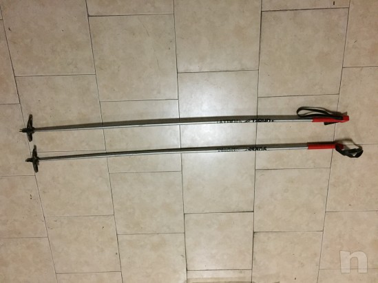 Bastoncini sci da fondo foto-23476