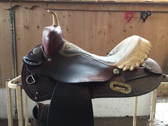 Sella americana Billy Cook foto-12651