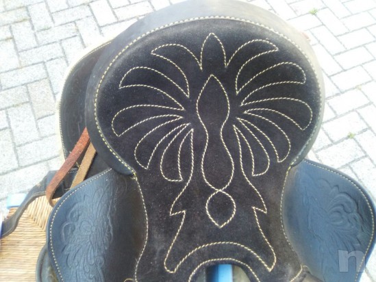 Sella americana  foto-23592