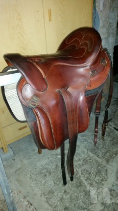 Sella podium  LDM  foto-23606