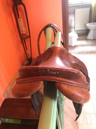 vendo sella Pessoa da salto ostacoli con testiera foto-23618