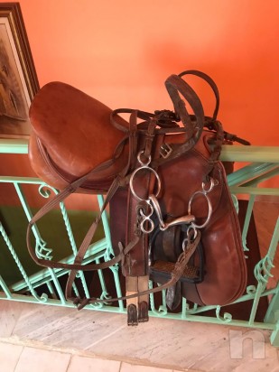 vendo sella Pessoa da salto ostacoli con testiera foto-23620