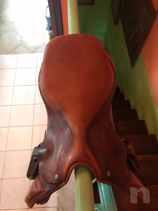 vendo sella Pessoa da salto ostacoli con testiera foto-23619