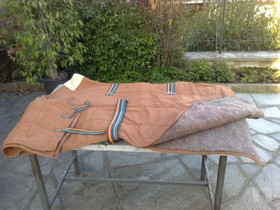 Sella inglese misura 18, filetto, e accessori vari foto-23671