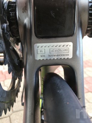 Vendo cipollini rb1000 originale taglia m foto-23688