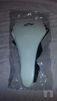 Conchiglia  foto-23854