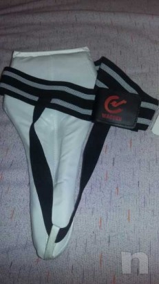 Conchiglia  foto-23855