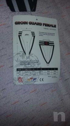 Conchiglia  foto-23856