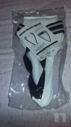 Conchiglia  foto-12775