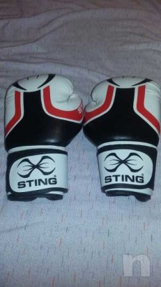 Guantoni  foto-23857