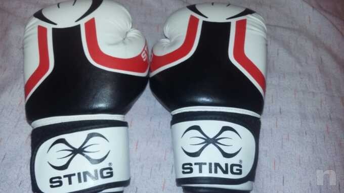 Giantoni box foto-23859