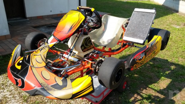 Go kart Intrepid Cruiser 2012 motore TM K9C SS. foto-1936