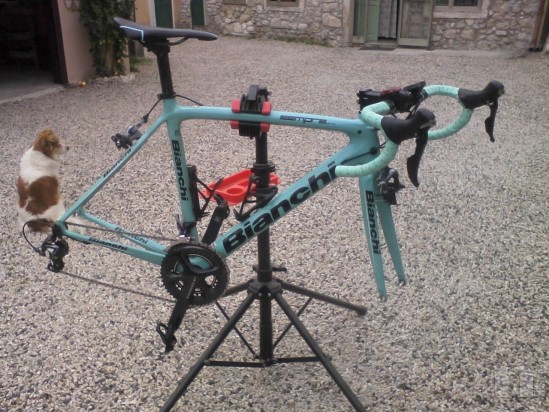 bianchi sempre pro foto-12974