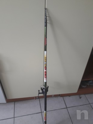 Canne trota lago foto-24374